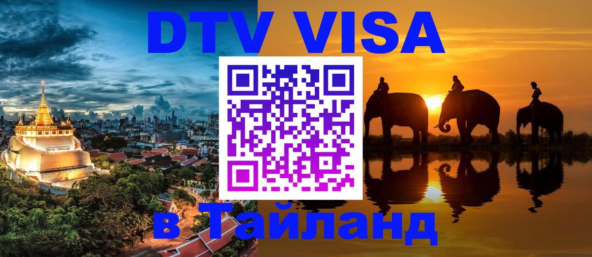Оформление DTV визы под ключ: стоимость и тарифы, только загранпаспорт - 18.11.2025 